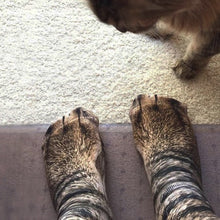 Load image into Gallery viewer, Animal Paw Socks