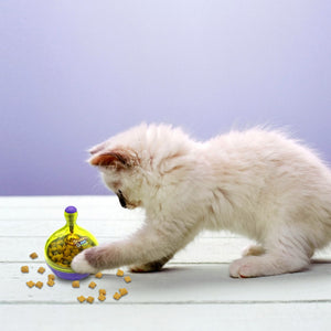 Spinny Cat Treat Ball